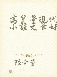 高质量现代言情小说文笔好