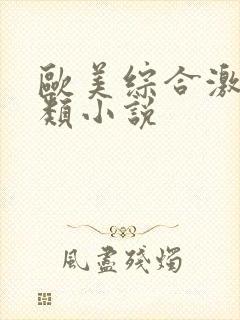 欧美综合激情另类小说