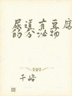 尿道有豆腐渣似的分泌物