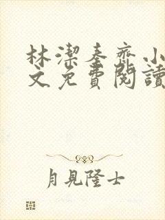 林洁秦齐小说全文免费阅读最新章节