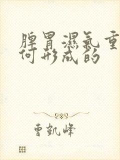 脾胃湿气重是如何形成的