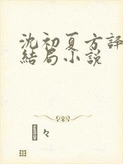 沈初夏方译洲大结局小说