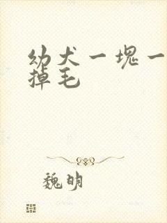 幼犬一块一块的掉毛