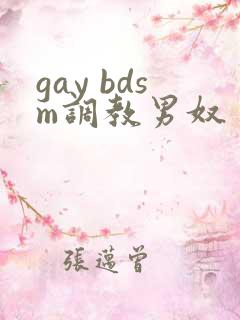 gay bdsm调教男奴