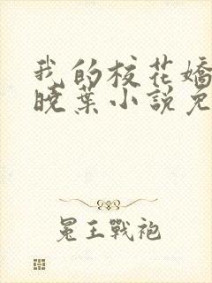 我的校花娇妻秦晓叶小说免费阅读