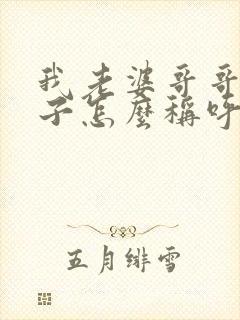 我老婆哥哥的儿子怎么称呼