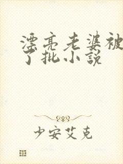 漂亮老婆被玩坏了批小说