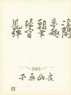 凤归朝梦溪石无弹窗笔趣阁