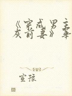 《穿成男主的炮灰前妻》华阙阙