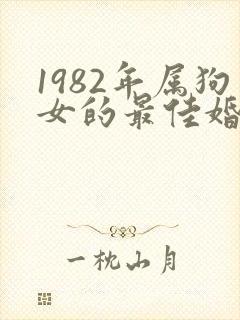 1982年属狗女的最佳婚配