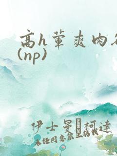 高h荤爽肉欲文(np)