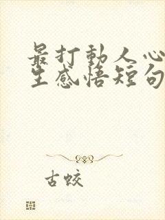 最打动人心的人生感悟短句