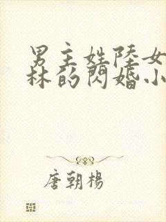 男主姓陆女主姓林的闪婚小说