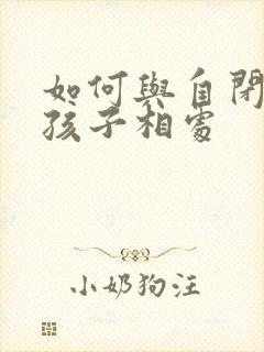 如何与自闭症的孩子相处