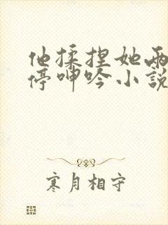 他揉捏她两乳不停呻吟小说