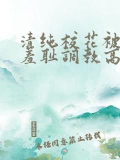 清纯校花被民工羞耻调教高h