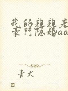 我的亲亲老婆 豪门隐婚aa制