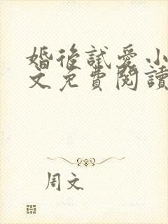 婚后试爱小说全文免费阅读