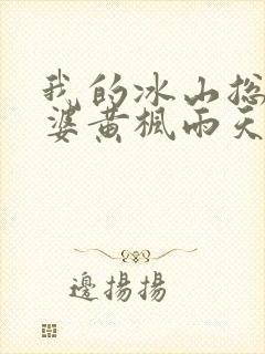 我的冰山总裁老婆黄枫雨天