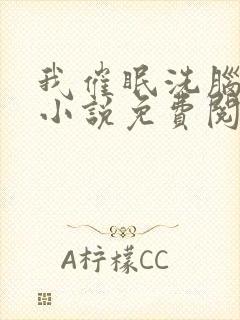 我催眠洗脑姐姐小说免费阅读