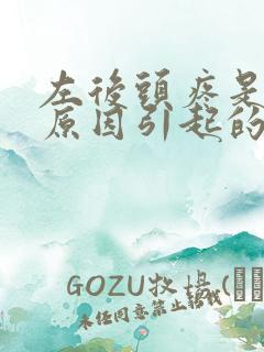 左后头疼是什么原因引起的