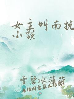 女主叫南挽月的小说