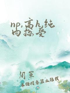 np,高h,纯肉总受