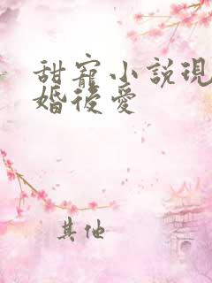 甜宠小说现言先婚后爱
