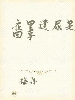 夜里遗尿是怎么回事