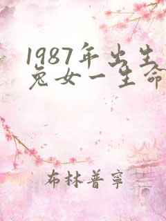 1987年出生兔女一生命运