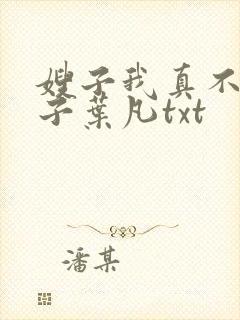 嫂子我真不是傻子叶凡txt