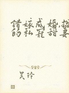 错嫁成婚,总裁的私宠甜妻