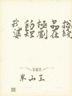 我的极品总裁老婆短剧在线观看