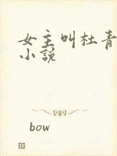 女主叫杜青娘的小说