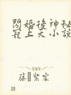 闪婚后神秘老公宠上天小说