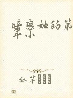 暗恋她的第十一年小