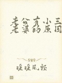 老公有小三不碰老婆的原因