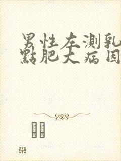 男性左测乳房有点肥大病因是什么