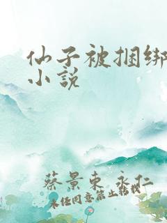 仙子被捆绑调教小说