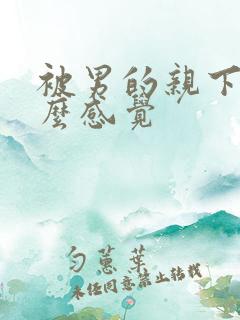 被男的亲下面什么感觉