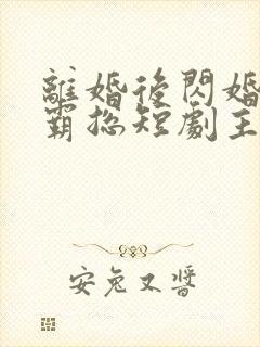 离婚后闪婚首富霸总短剧主要演员