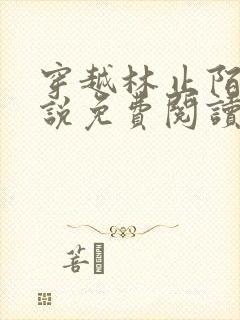 穿越林止陌的小说免费阅读