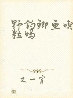 野钓鲫鱼吃玉米粒吗