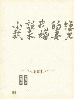 小说我的绝色总裁未婚妻免费阅读