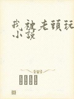 我被老头玩弄的小说