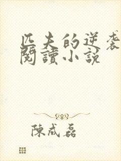 匹夫的逆袭免费阅读小说