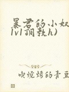 暴君的小奴妻(1v1调教h)