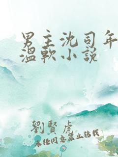 男主沈司年女主温软小说