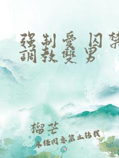 强制爱 囚禁 调教双男