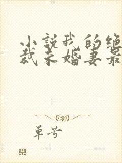 小说我的绝色总裁未婚妻最新章节